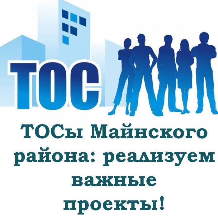 ТОСы Майнского района: реализуем важные проекты!.