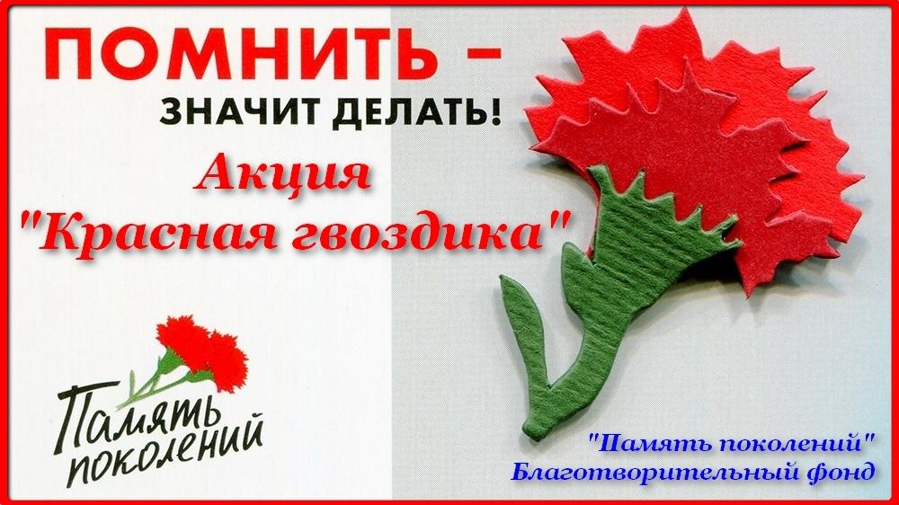Ульяновская область присоединится к Всероссийской акции «Красная гвоздика».