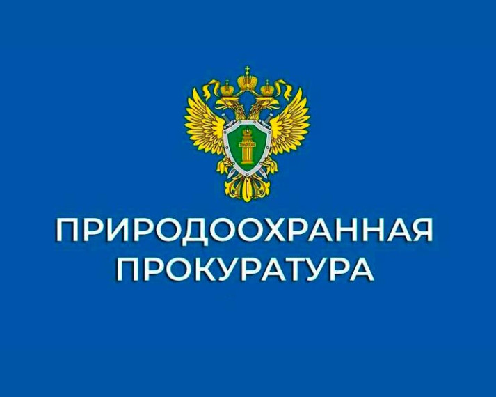 В Ульяновской области по представлению природоохранной прокуратуры за нарушения антикоррупционного законодательства к дисциплинарной ответственности привлечены 5 должностных лиц..